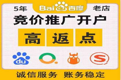 案例研究：SEM代运营服务公司的创新策略